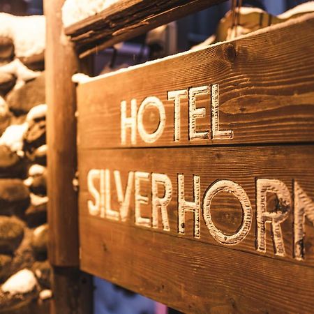 Hotel Silverhorn Myoko Exteriér fotografie
